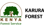 Karura.jpg